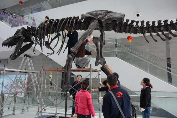 Dinosaur Exhibition in Amusement Park