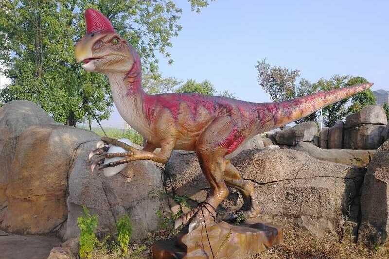 Dinosaur Exhibition in Conibaran City