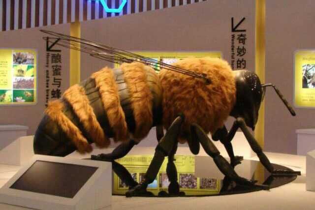 Animatronic Insect Exhibits For Museum